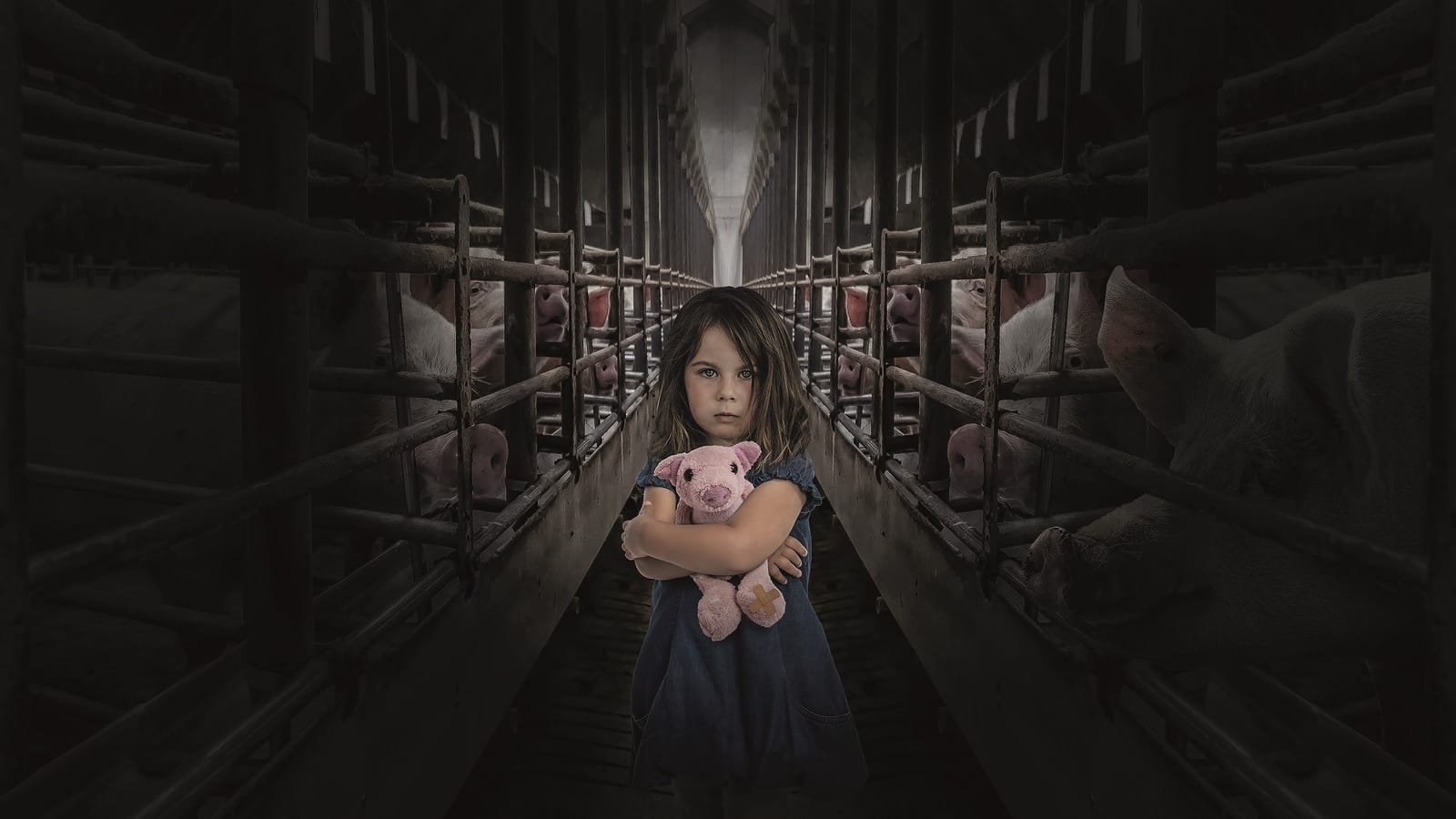 Petite fille avec une peluche dans un élevage de truies en cage
