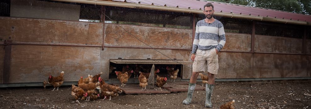 Eleveur de poules pondeuses bio.
