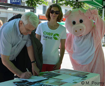 Action De la paille pour les cochons