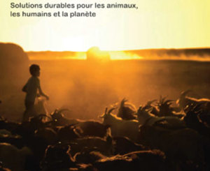 Au delà de l'élevage industriel