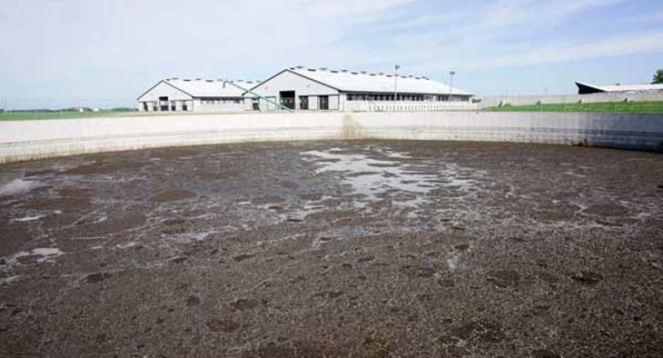 Pollution Dû Aux élevages Industriels Ciwf France