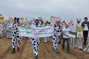Manifestation Mille vaches