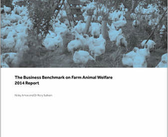 Bbfaw Report 2014 Front Cover Image