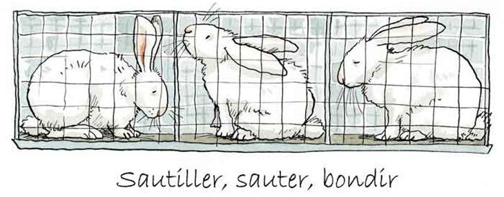 Anita Jeram Sauter bondir