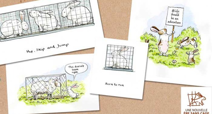 Anita Jeram 4 dessins
