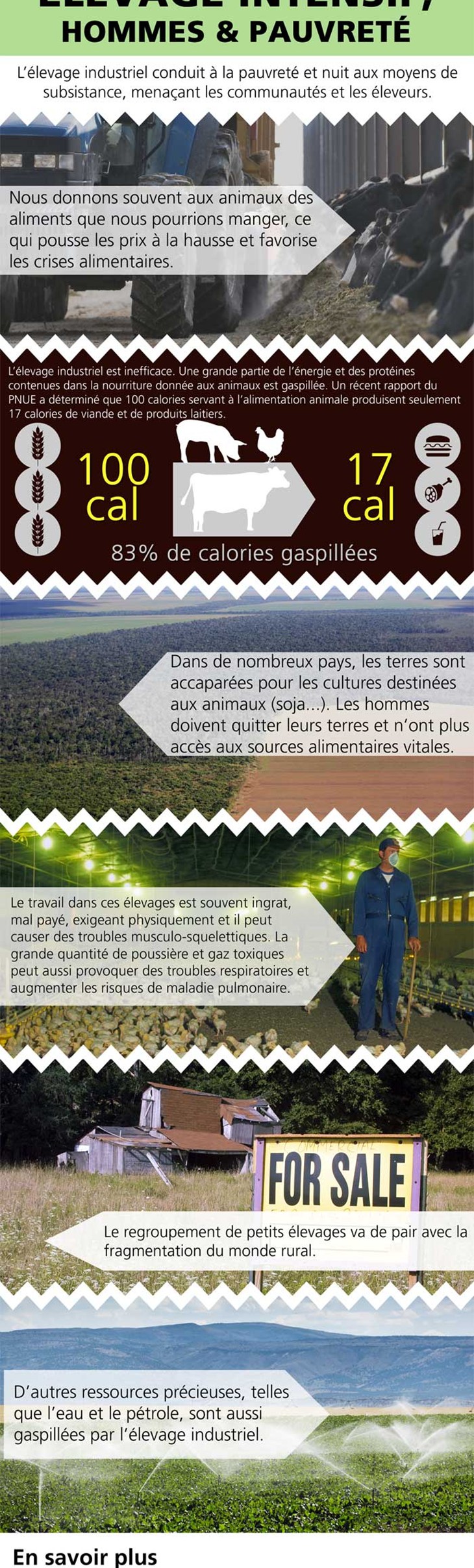 Infographie Hommes et pauvreté