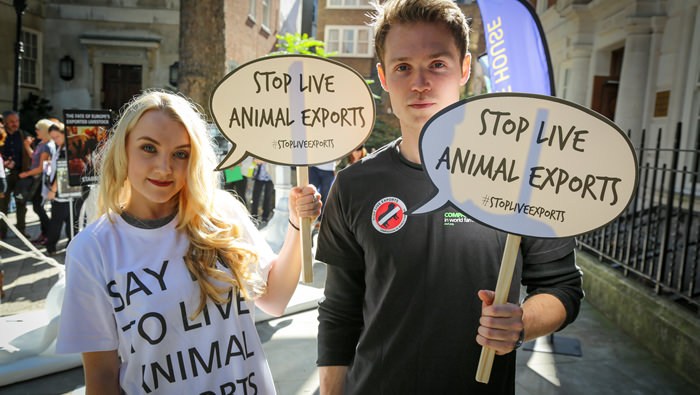 Les stars de Harry Potter Evanna Lynch et Robbie Jarvis EL RJ Cow tour.jpg