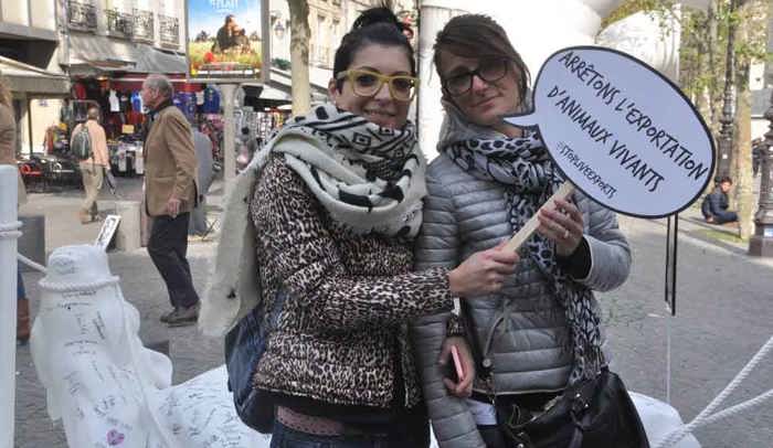 #CowOnTour visited cities in 7 European countries in an epic journey raising awareness of the cruelty of European live exports. cowtourmap website.jpg
