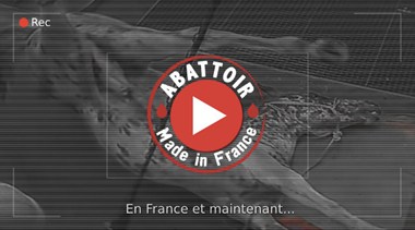 visuel Abattoir made in France