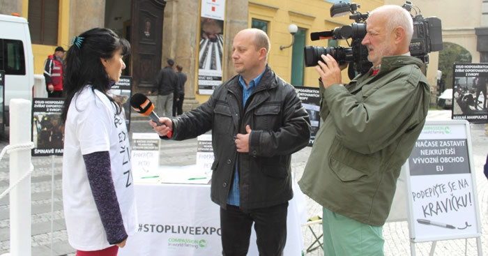 TV and radio broadcasts raised awareness of the campaign across Europe. cow tour media attention.jpg