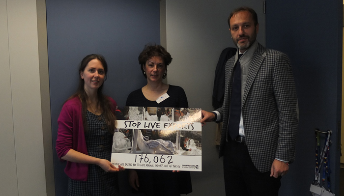 cow tour petition hand in.jpg