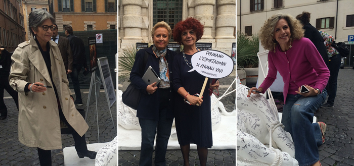 20 Italian Senators signed #CowOnTour, showing that politicians across the European Union are behind the call for a ban on live exports. Italian ministers.jpg