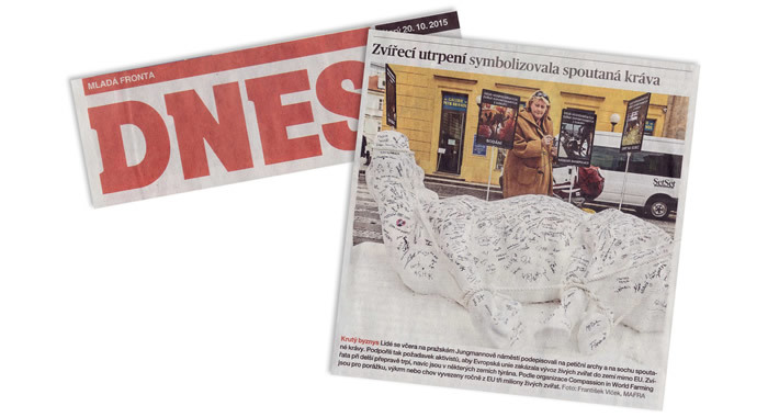 Over 30 news articles were published about the #CowOnTour. czech newspaper - cow on tour.jpg