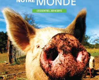 Couverture L'Essentiel 2014-2015