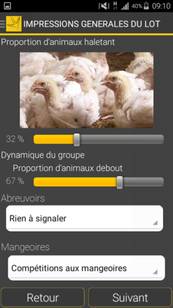 tibena poulet.png