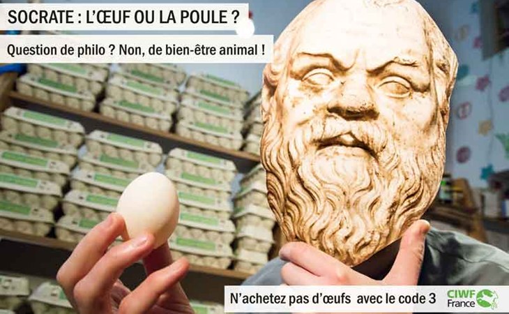socrate : l'oeuf ou la poule ?