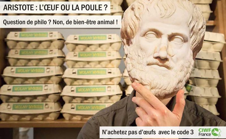 Aristote : l'oeuf ou la poule ?