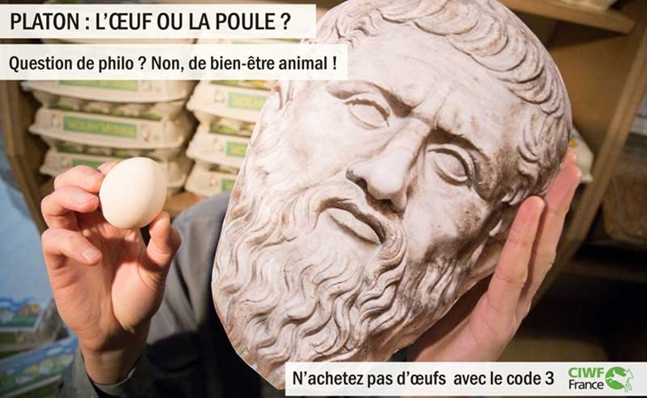 Platon : l'oeuf ou la poule ?