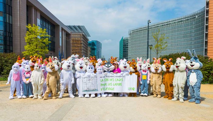 Remise de la pétition lapin à Bruxelles - plan d'ensemble