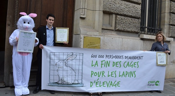 Remise pétition pour interdire l'élevage en cage des lapins