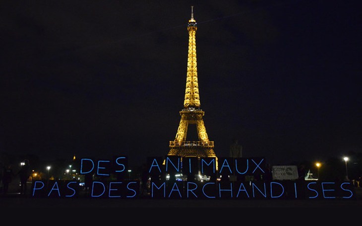 A Paris, le message s'est affiché en lettres lumineuses devant la Tour Eiffel