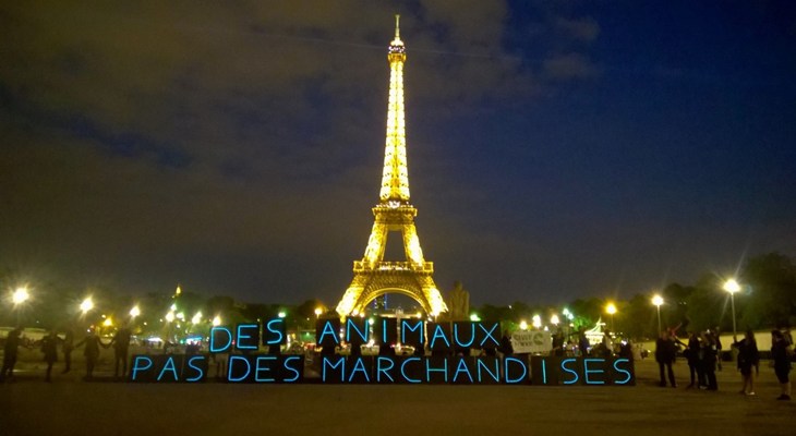 Tour Eiffel Des animaux pas des marchandises.jpg