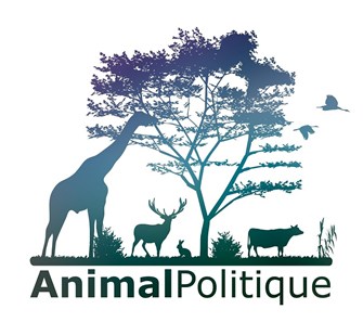 logo Animal Politique