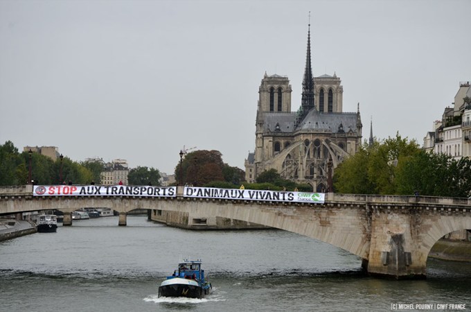 Notre dame 13 septembre 2017