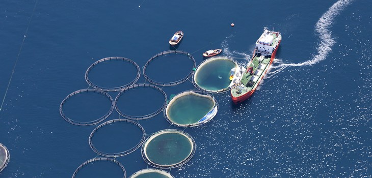 Pisciculture vue du ciel