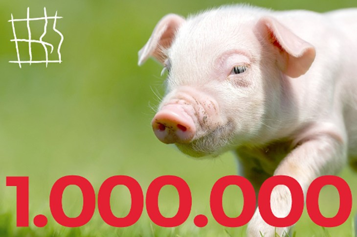 ALL I Million card 01_nl.jpg