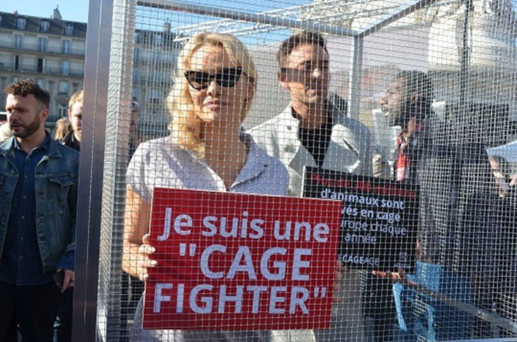Pamela Anderson mobilisée à nos côtés contre les cages !