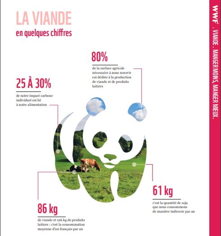 infographie WWF viande