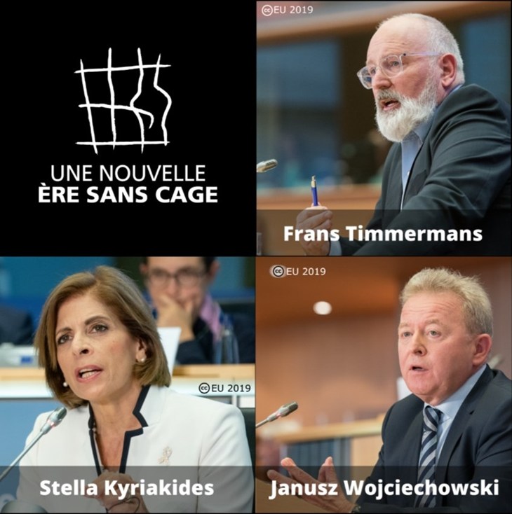 eurodéputés