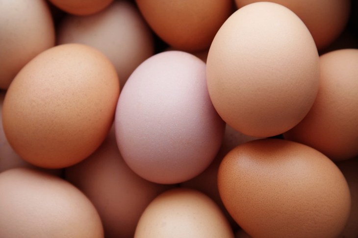 oeufs