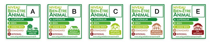 Bandeau 5 Etiquettes