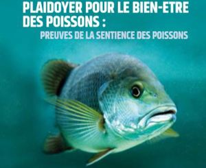 Plaidoyer pour le bien-être des poissons : preuves de leur sentience