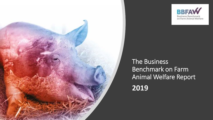 Visuel BBFAW 2019