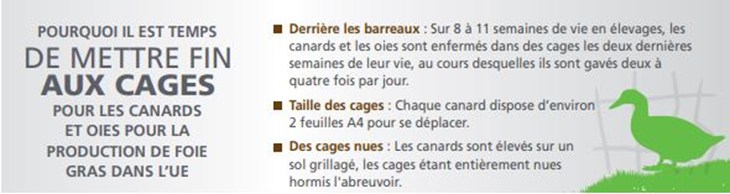Pourquoi Arreter Les Cages Et Le Foie Gras