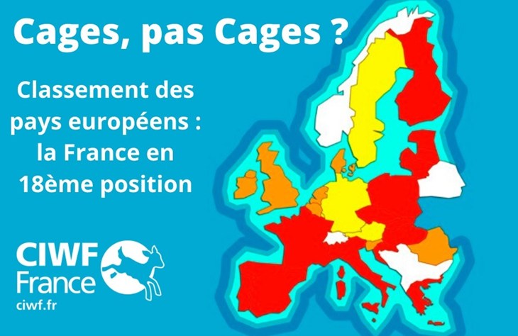 Cages, Pas Cages