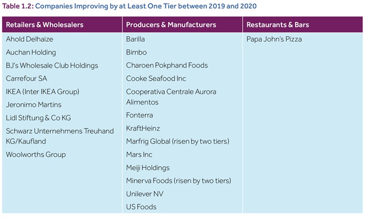 BBFAW 2020 Companies Going Up