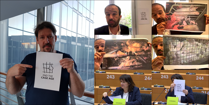 Meps Thomas Waitz, Manuel Bompard & Michaela Šojdrová