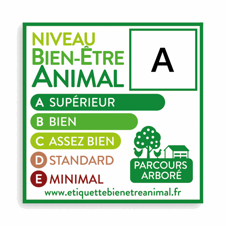 Etiquettebeavisuels (1)