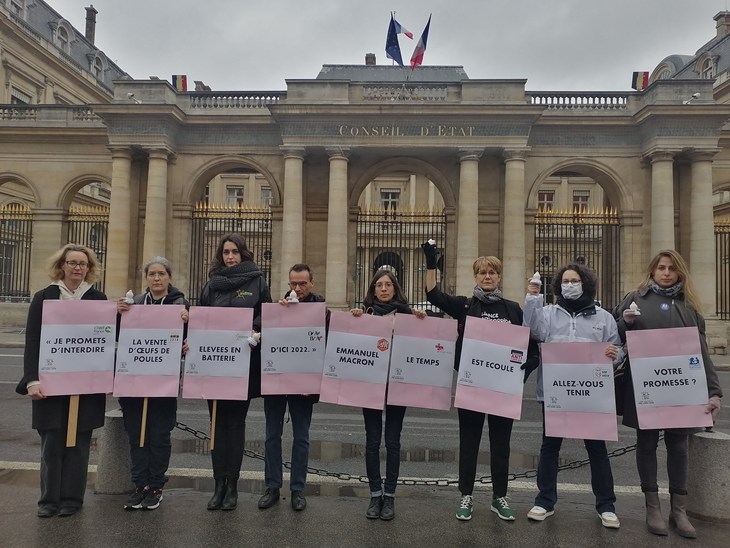 CIWF et 8 autres ONG devant le Conseil d'Etat