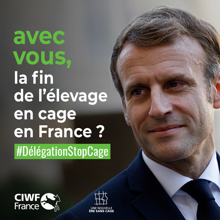 Emmanuel Macron avec écrit "Avec vous, la fin de l'élevage en cage en France ?"