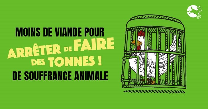 Illustration arrêtons d'en faire des tonnes de souffrance animale avec une poule en cage