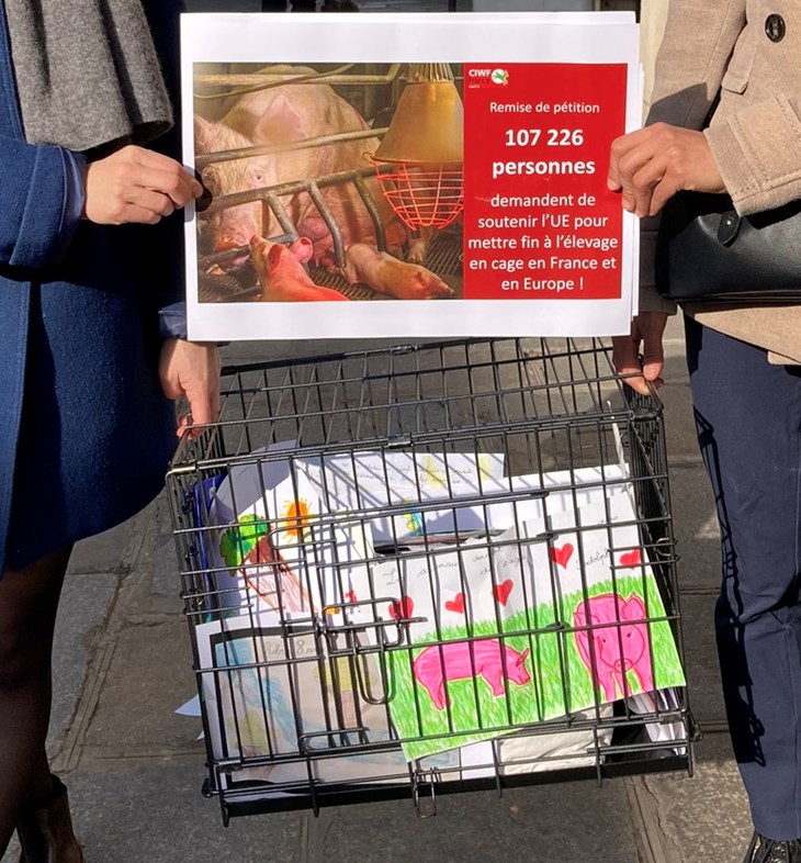 Remise de la pétition contre l'élevage en cage 107 226 signatures et une cage métallique remplie de dessins d'enfants