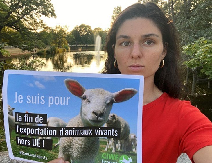 Anaïs affiche son panneau contre l'exportation des animaux vivants hors UE
