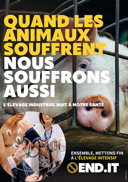 Brochure ASF