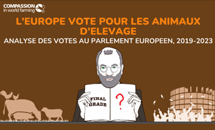 page de garde du rapport CIWF sur votes des députés européens oct23
