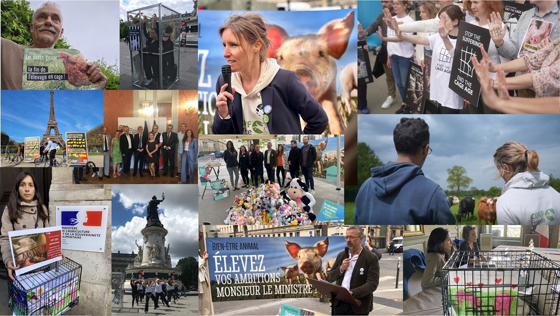 montage of campaign and fundraising events